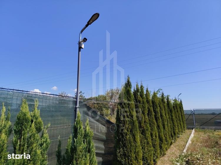 TEREN INTRAVILAN DE VANZARE VALEA AVRIGULUI | 1.913 MP - 5