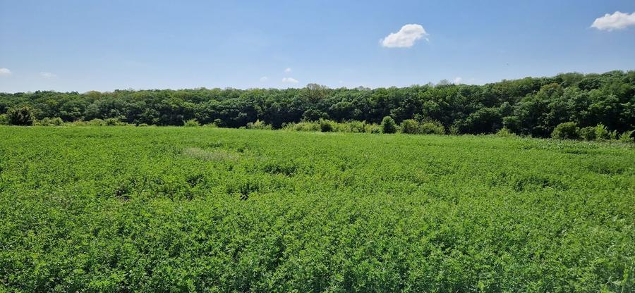 Teren Voluntari, Comuna Ganeasa - 7