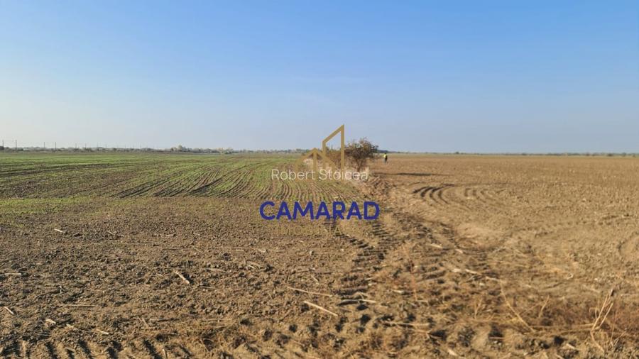 Teren intravilan de vanzare - zona industriala Domnesti/A1