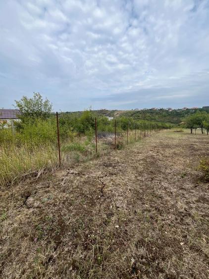 VAND 1000 M Teren INTRAVILAN ,Zona Adevarului Strada LIVEZILOR - 6