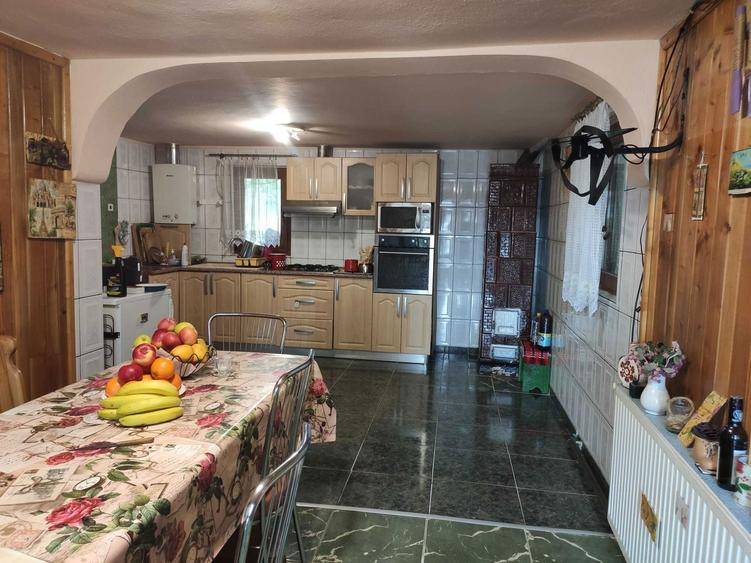 Vila cu gradina si pomi fructiferi 2500mp Dambovita - 2