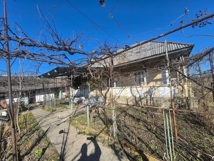Casa si teren com Zanesti - 2