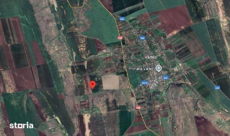 Teren de 6000 mp, în Vârlezi