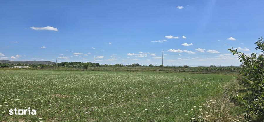 Teren in zona Rascruci ideal pentru hala, toate utilita?ile - 8