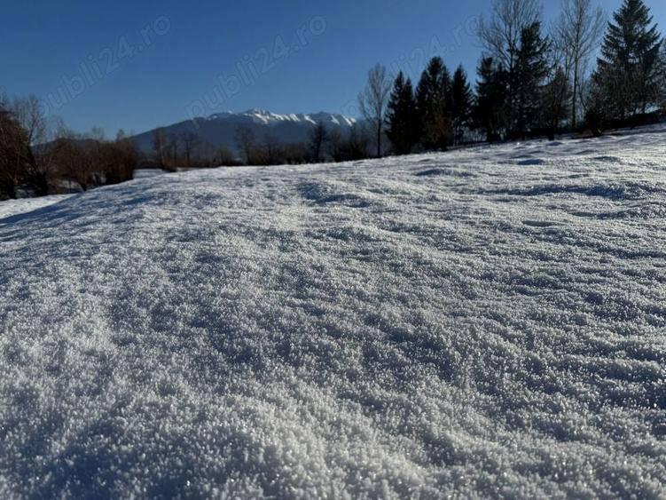 Teren intravilan intre 500 si 1000 mp cu vedere panoramica in zona Bran Tohanita - 5
