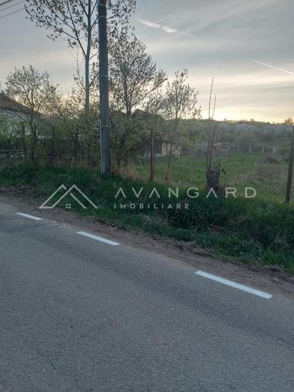 Teren intravilan 1800 mp – Șutu, comuna Ciurila - 5