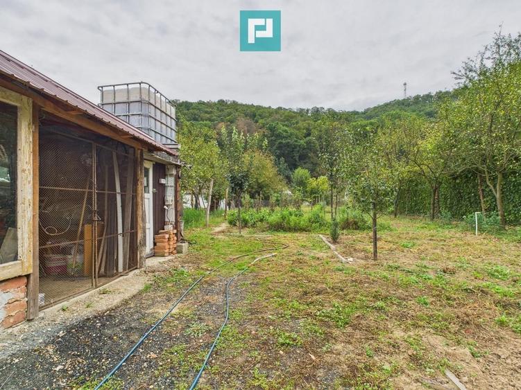 Căsuță de vacanță pentru pescari în Lipova - 4