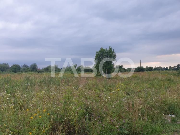 Teren intravilan 5040 mp in Sercaia acces DN1 168 m - 3