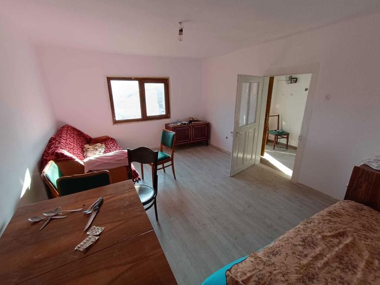 Doua terenuri de vanzare + doua case - 7