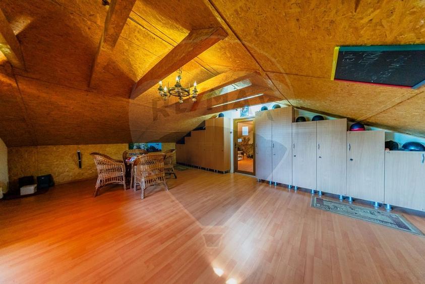 Ferma de cai andaluzi de vanzare - Zadareni - 18