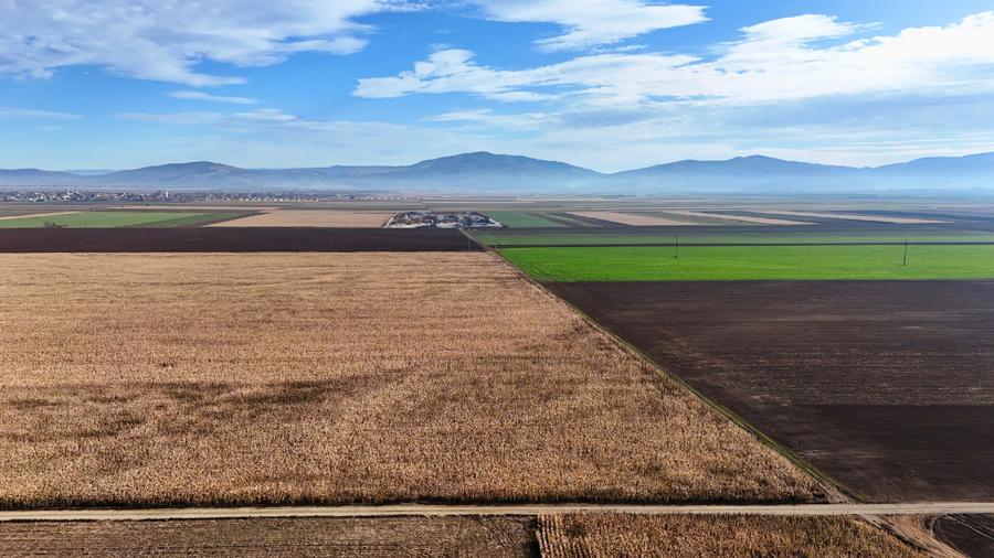 Teren 32,5 Ha compact Prejmer, Brasov. Imagini drona,tur/360 - 9