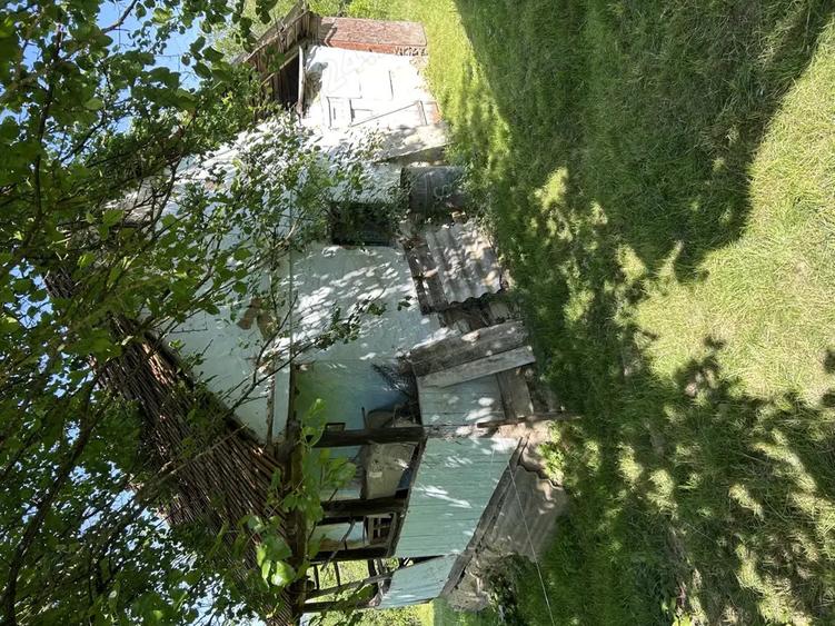 Vand casa de caramida sat Bodesti -comuna Halmagiu Arad - 6