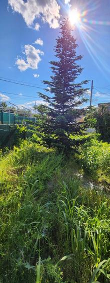 Giulesti-2min capat tramvai 44,semistradal,zona str.Caramidariei! - 4