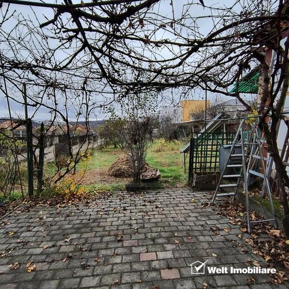 Casa individuala, 270 mp, Dambul Rotund - 8