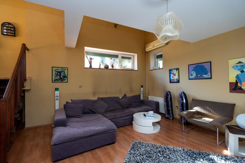 Iancu Nicolae: Vila individuala cu piscina si un teren de 800 mp !! - 17