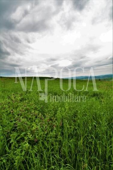 Teren extravilan pentru constructii de vanzare in Popesti - 1