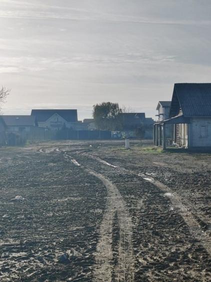La 250 m de Kaufland Buftea si Crevedia Retail Park, la DN1A, 89 e/mp - 6