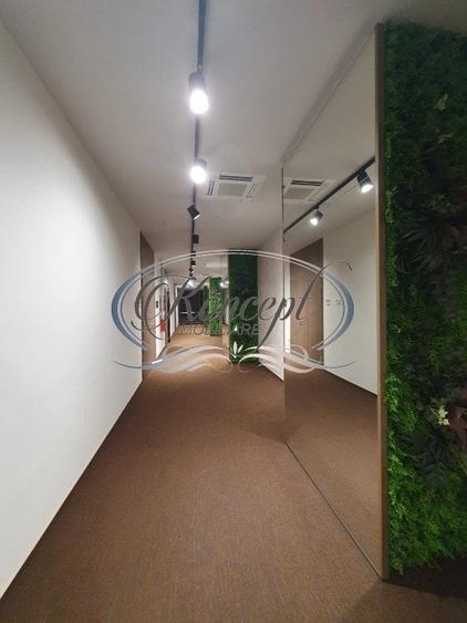 Spatiu birouri clasa A, zona Grigorescu - 17