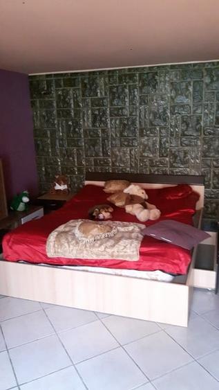 Vand teren cu casa in Utvin - 2