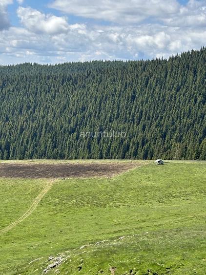 Magurele Teren 3.000 mp ideal pentru ansamblu de case / dezvoltare