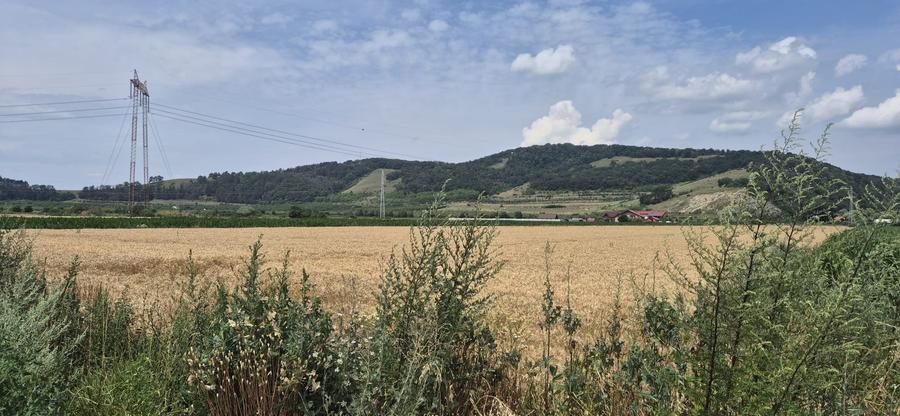 Teren  intre Sanpetru si Harman  la Drumul judetean - 4