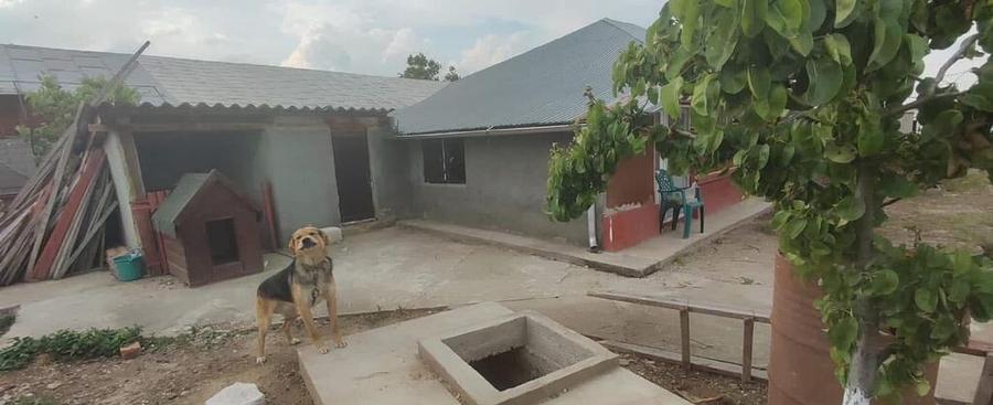 Casa 5 camere cu livada 2200 mp- Varasti - 8