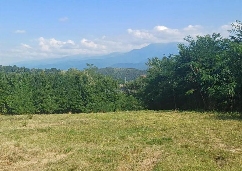 Teren 1344 mp de cu autorizatie de constructie str Cindrel - 4