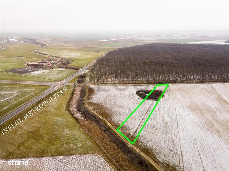 RECO Teren extravilan Nojorid langa Inelul Metropolitan - 5