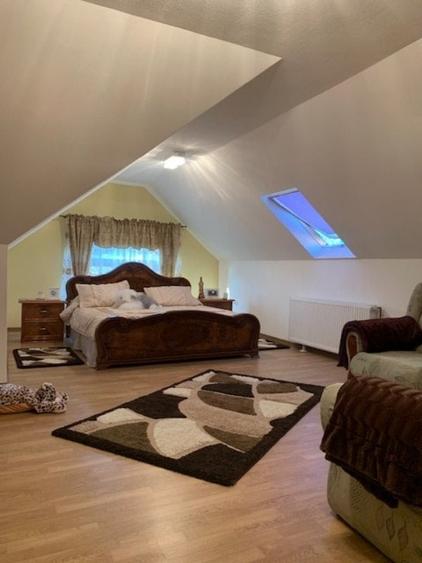 CASA SUPERBA 460mp, teren 15 ari! In Baia Sprie! - 10