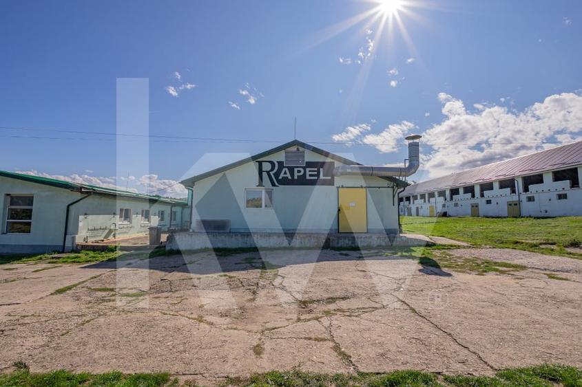 Hala industriala de productie, functionala, 790mp, Rahau, Sebes - 5