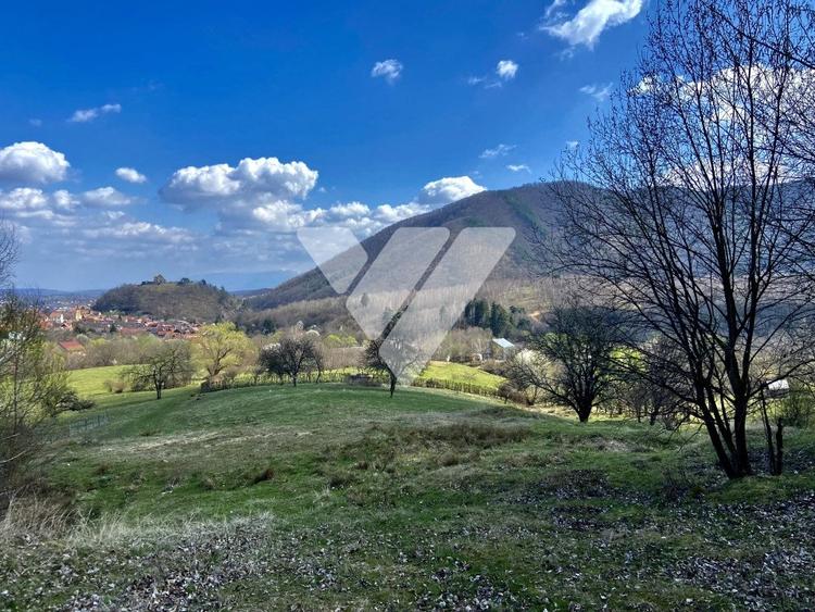 Teren Extravilan de 6630 mp - Cisnadioara - 7