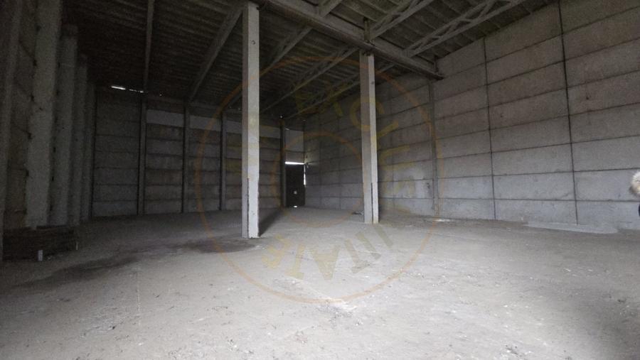 De Vanzare Hala/Depozit - 7