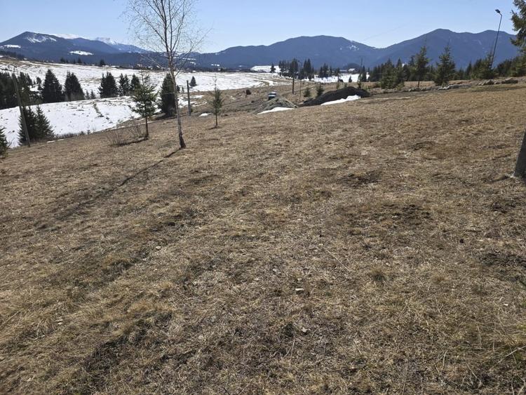 Teren intravilan 1500 mp – Zonă deosebită, Piatra Fântânele - 3