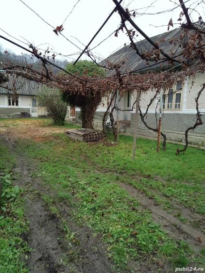 Casa cu anexe de vanzare - 4