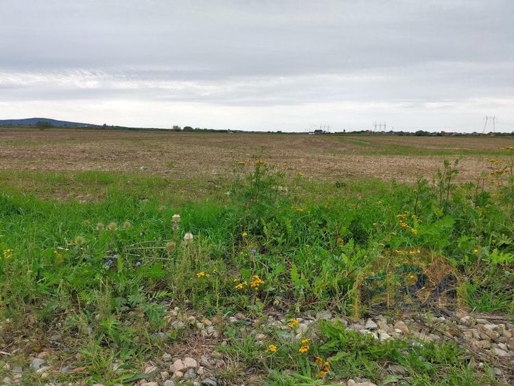 Teren Osorhei, Str. 610 - 7