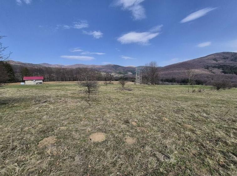 Teren intravilan la baza pădurii Valea Doftanei sat Traisteni (poduri) - 1