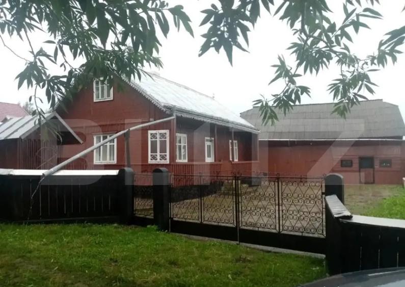 Casa batraneasca, 60 mp + 30 ari teren, Balaceana - 3