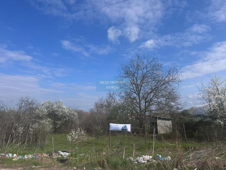 Teren intravilan de vânzare – Strada Șoimului - 1