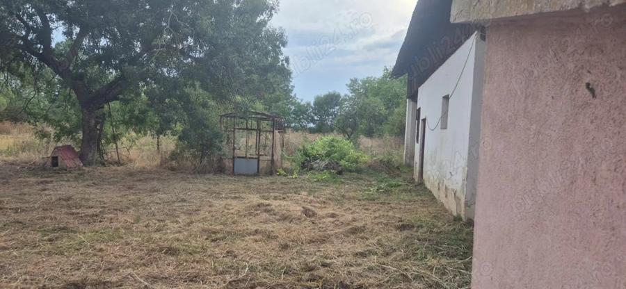 Vand casa in Sculia,Ora?ul Gataia,Jud Timi? (2158mp) - 3