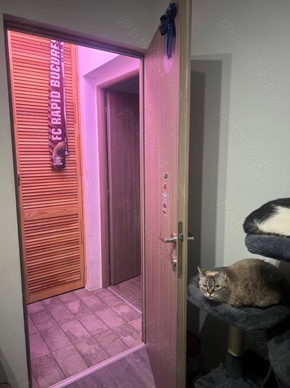 Apartament 3 camere Vanzare Drumul Taberei - 2