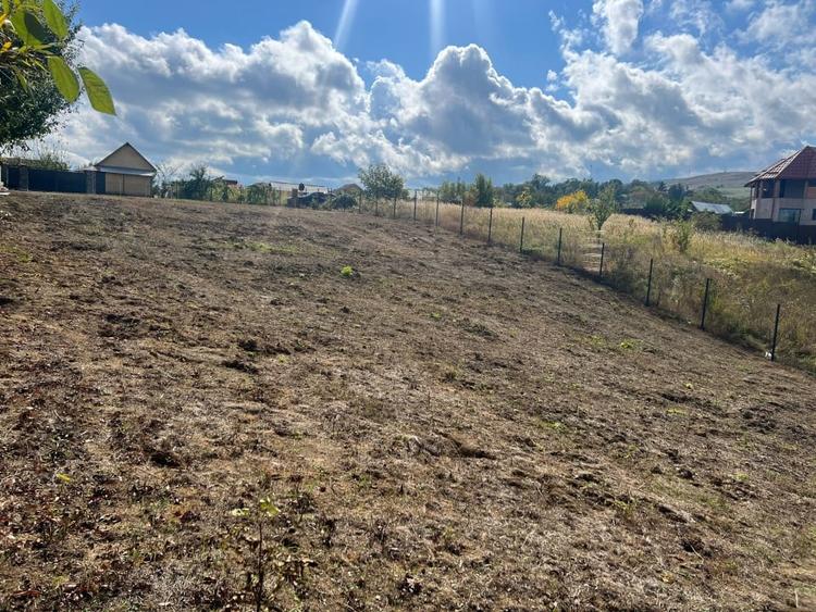 Teren intre case- Magura Farbe- 1419 mp - 5