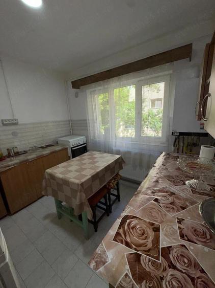 vand apartament cu o camera, parter cu terasa , zona Crihala - 4