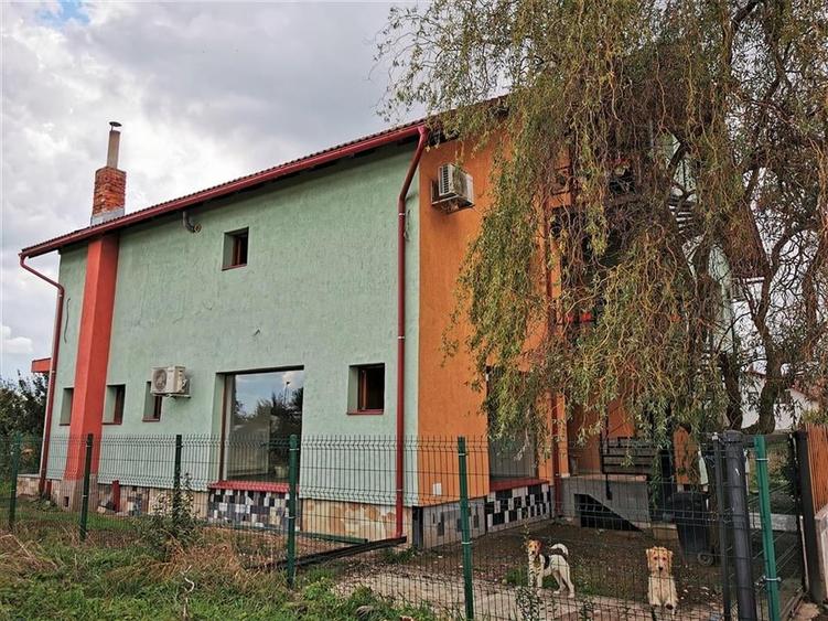 Vila Deosebita Rudicica - 15