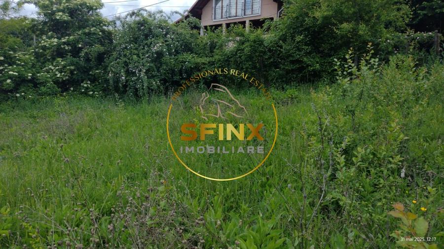 Teren intravilan de vanzare in Breaza – Strada Primaverii - 3