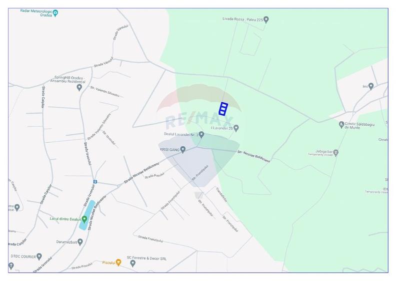 Teren intravilan de vanzare 801mp, Saldabagiu de Munte,Panorama Oras - 6