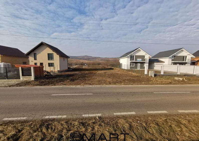 Teren 750 mp zona Hamba - 2