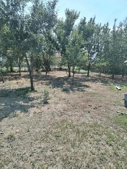 Proprietar vand casa loc Racovita judet Timi? - 3