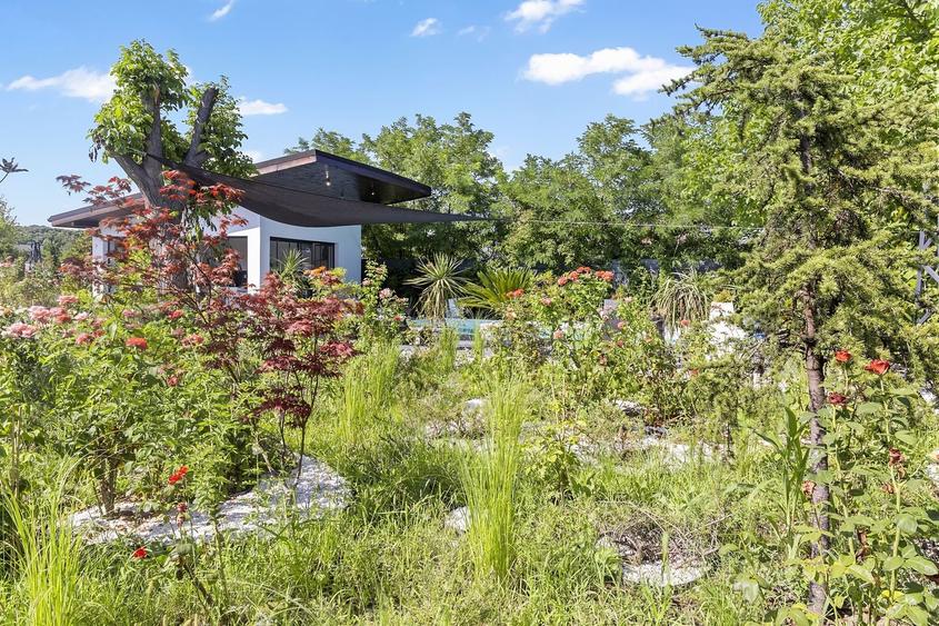 Vilă Nouă de Lux cu Piscină și Spa în Zona Selectă Snagov - 43