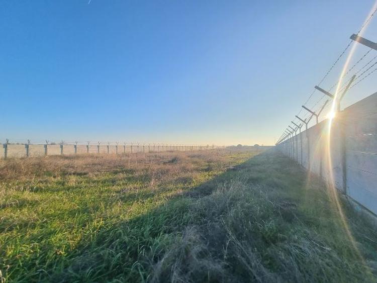 Teren 4500 mp de închiriat – Frumușani – Parcare TIR / Depozitare logistica - 8