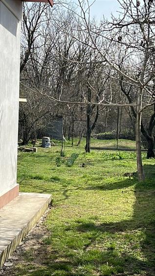 Vand Casa Crivina Jud Giurgiu - 2